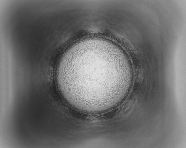 X0000101391301200807211005