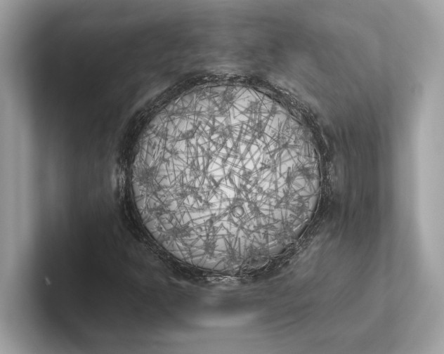 X0000101391302200807211005