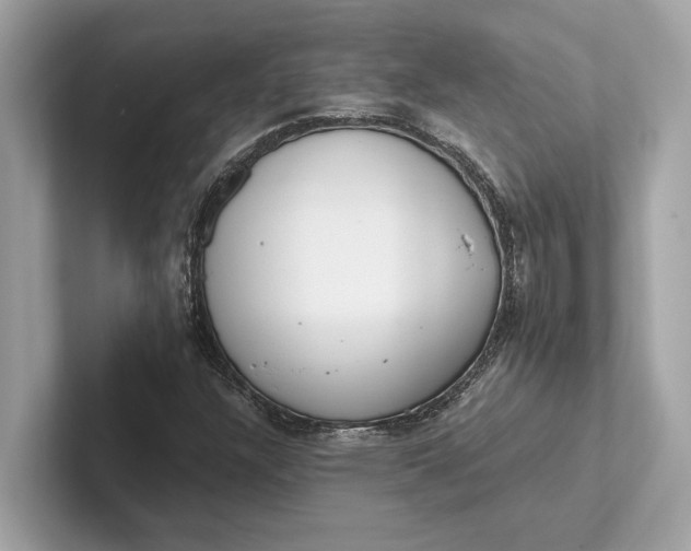 X0000101391304200807211005