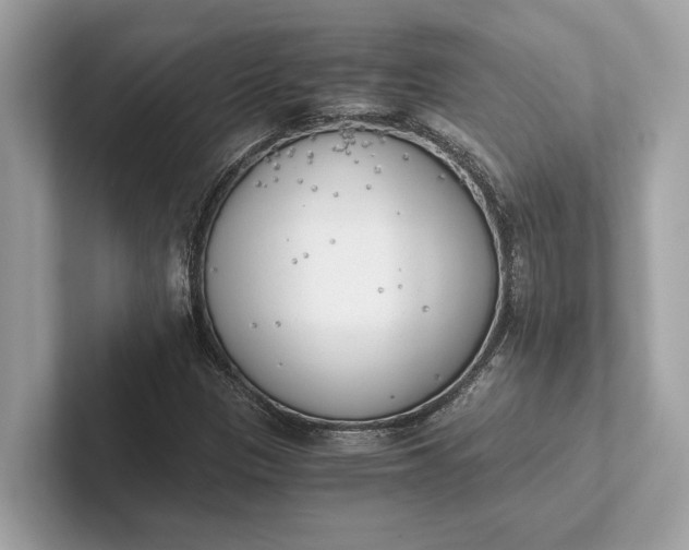 X0000101391305200807211005