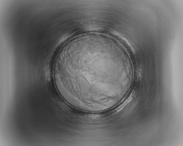 X0000101391306200807211005