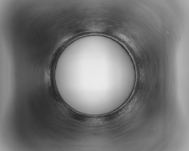 X0000101391307200807211005