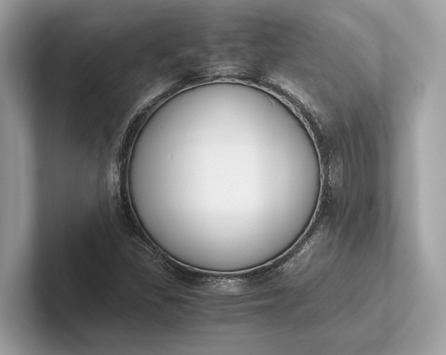 X0000101391309200807211005