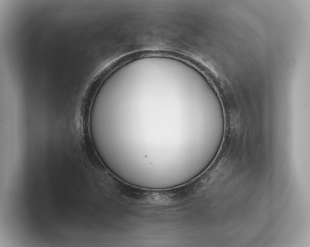 X0000101391311200807211005