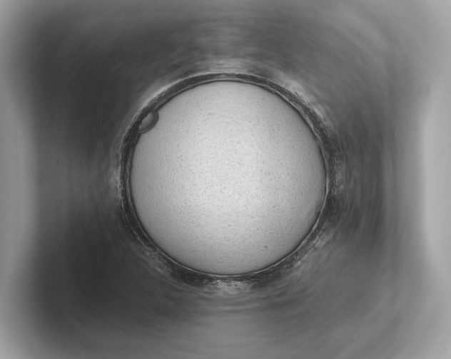 X0000101391312200807211005