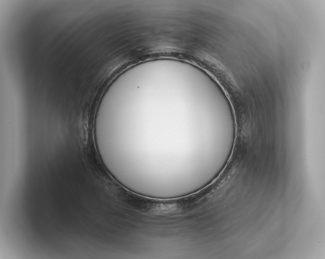 X0000101391313200807211005