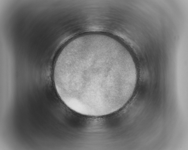 X0000101391314200807211005