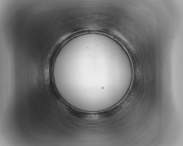 X0000101391315200807211005