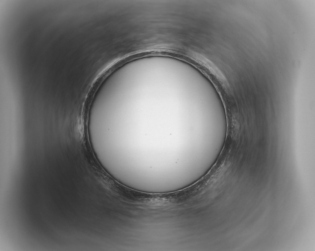 X0000101391316200807211005