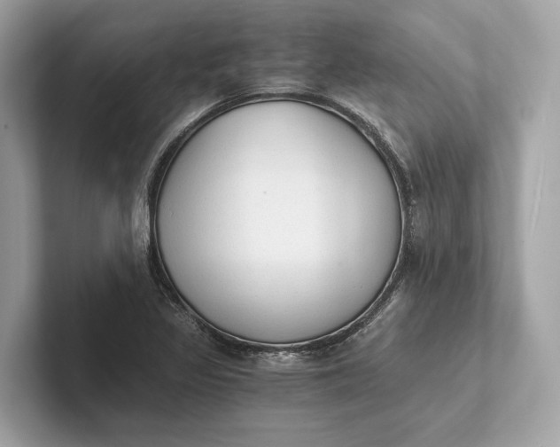 X0000101391317200807211005