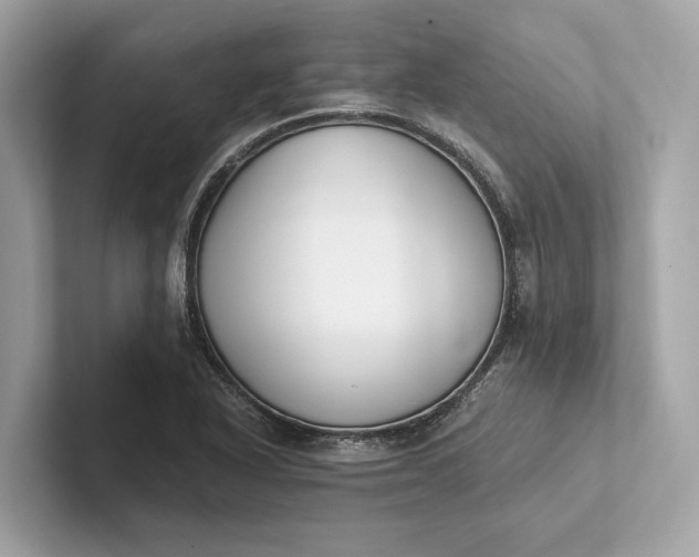 X0000101391318200807211005