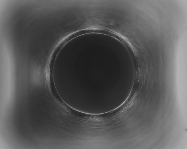 X0000101391319200807211005