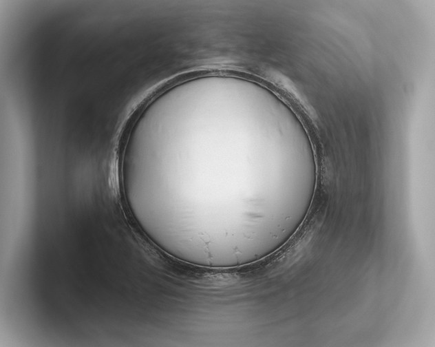 X0000101391320200807211005