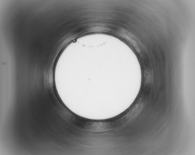 X0000101391322200807211005