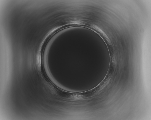 X0000101391323200807211005