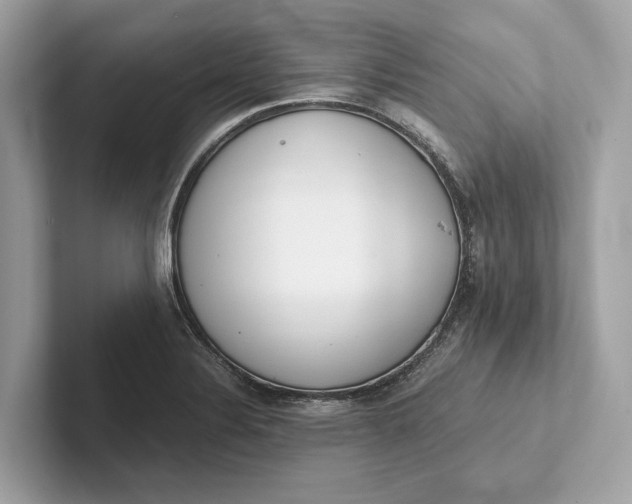 X0000101391324200807211005