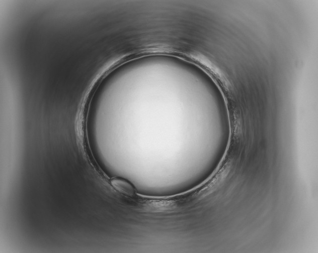 X0000101391325200807211005