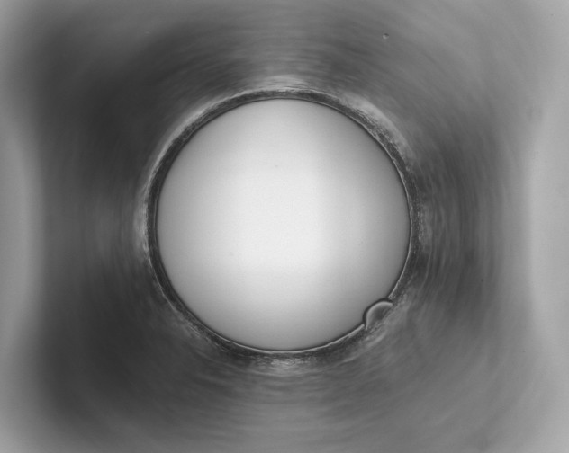 X0000101391326200807211005