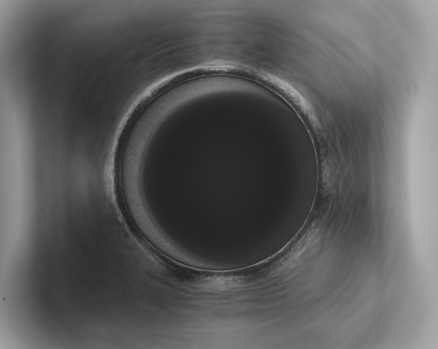 X0000101391327200807211005