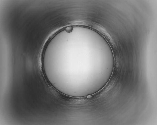 X0000101391328200807211005