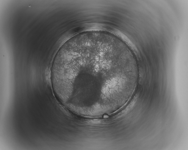 X0000101391329200807211005