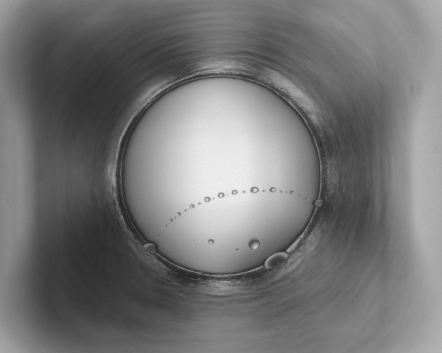 X0000101391330200807211005