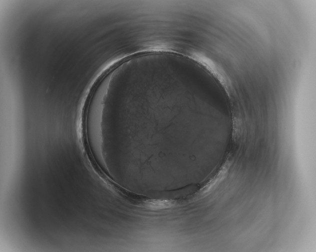 X0000101391331200807211005