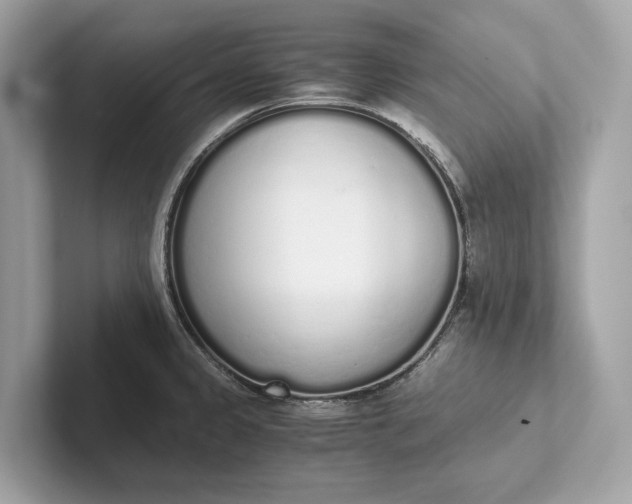 X0000101391333200807211005