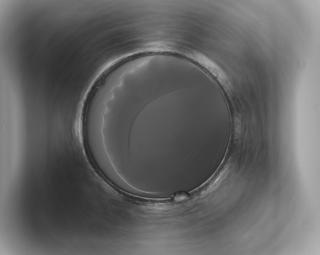 X0000101391334200807211005