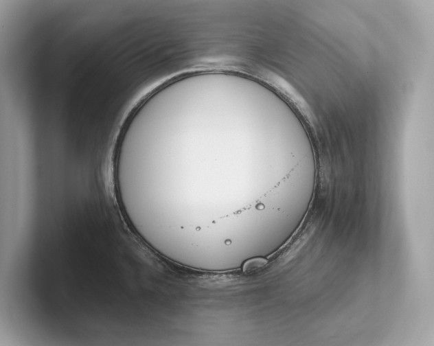 X0000101391336200807211005