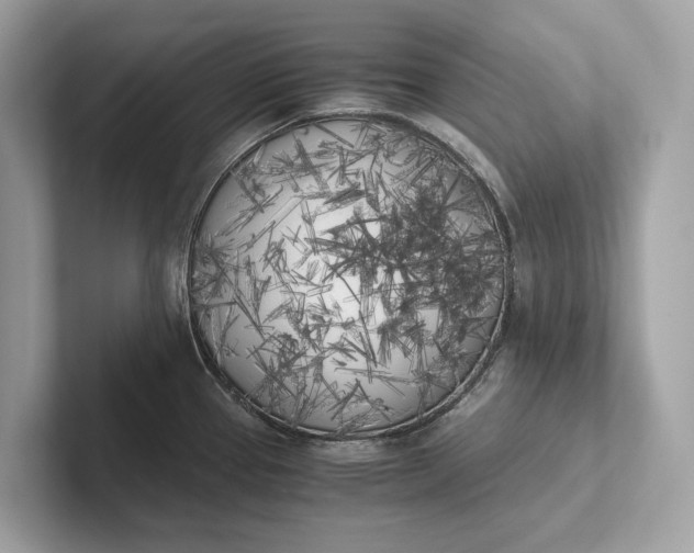 X0000101391337200807211005