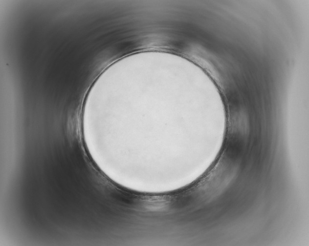 X0000101391338200807211005