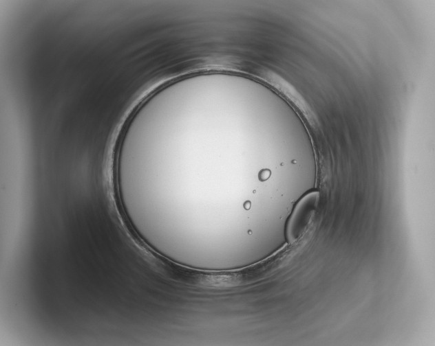 X0000101391339200807211005