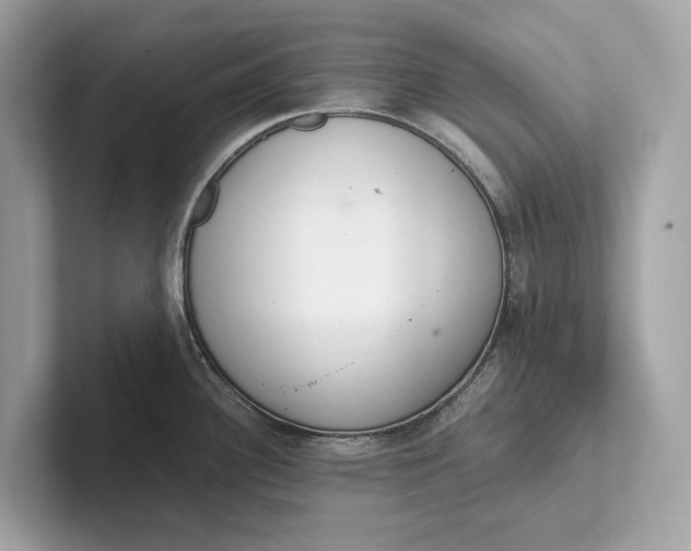 X0000101391340200807211005