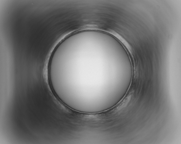 X0000101391341200807211005