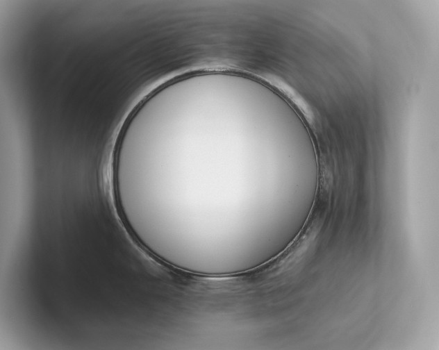 X0000101391343200807211005