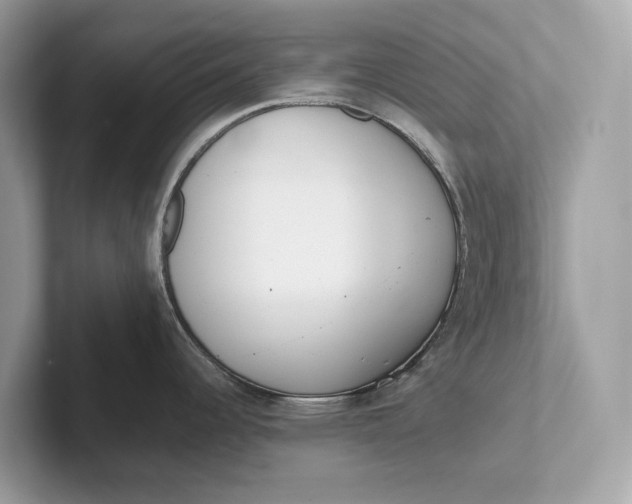 X0000101391344200807211005