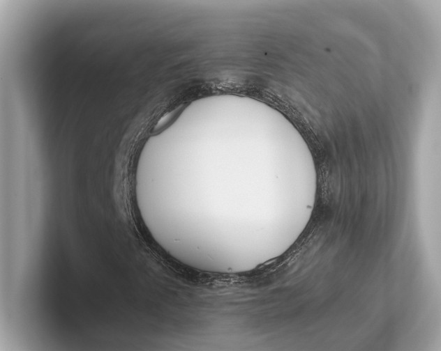 X0000101391345200807211005