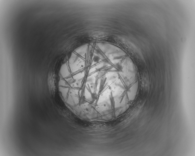 X0000101391346200807211005