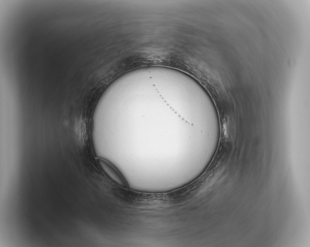 X0000101391347200807211005