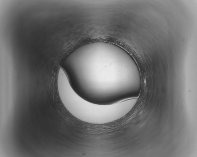 X0000101391348200807211005