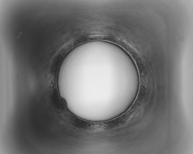 X0000101391351200807211005