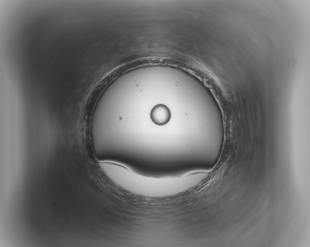 X0000101391352200807211005