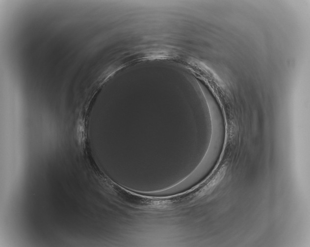 X0000101391353200807211005