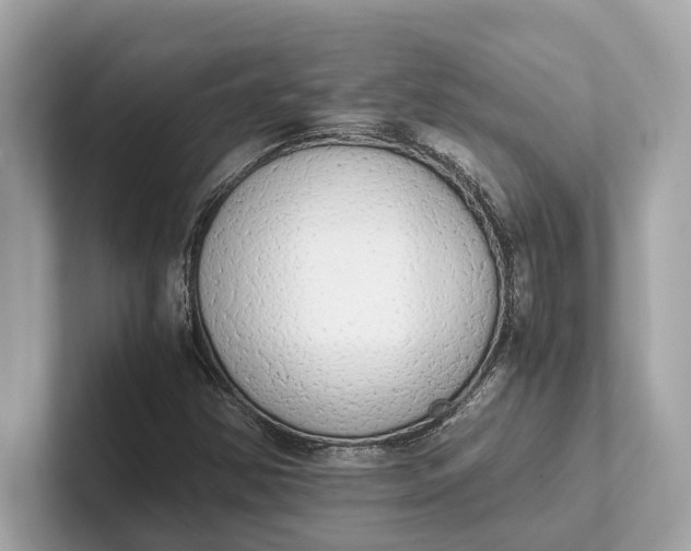 X0000101391354200807211005