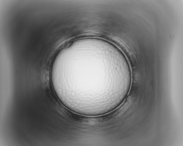 X0000101391355200807211005