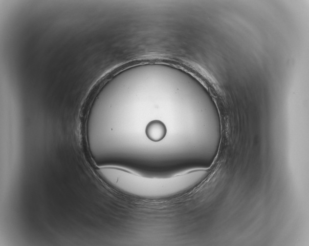 X0000101391356200807211005