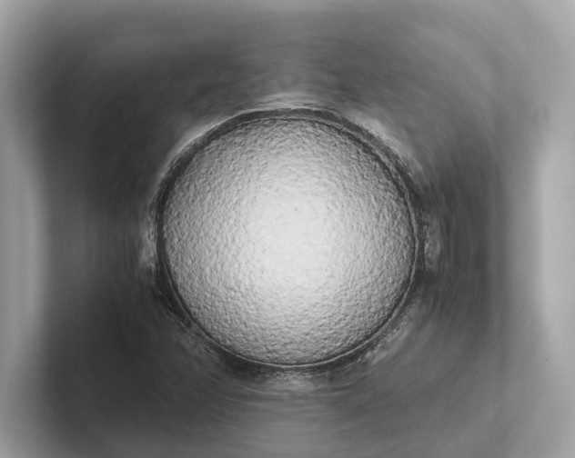 X0000101391358200807211004