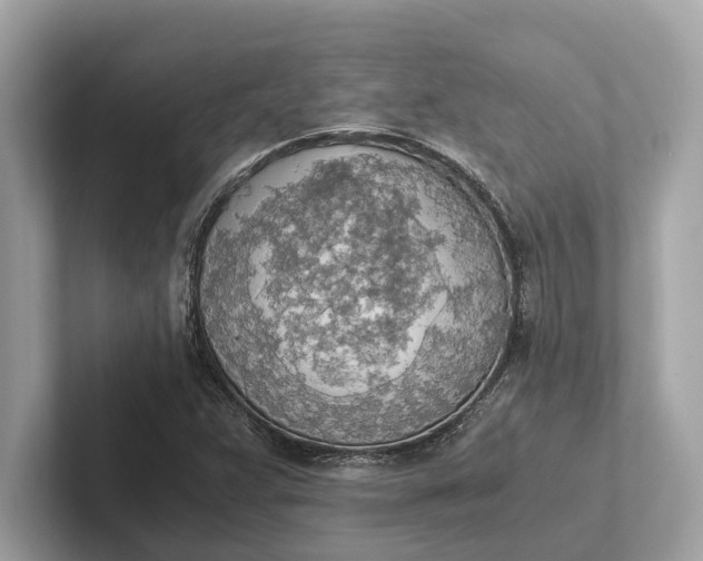 X0000101391359200807211004