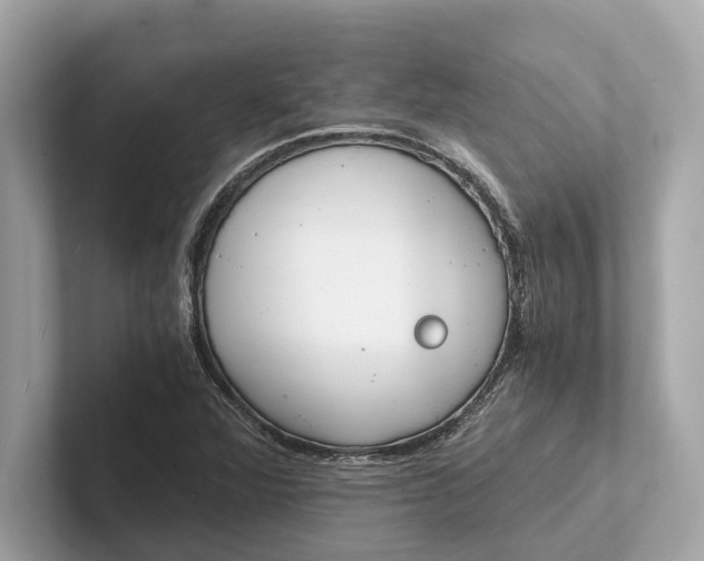 X0000101391360200807211004